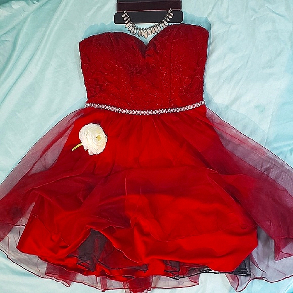 Modern Elegant Formal Dress-Red Lace Bodice-Red & Black Tulle Skirt Sz. 5